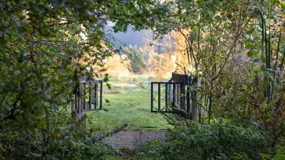 Abullahagen i Eslöv är ett populärt naturområde