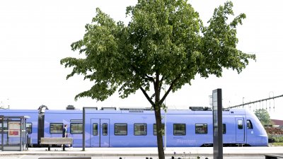 Bild på tåg på Eslövs station med träd framför