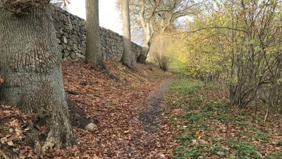 Den gamla skjutvallen i Skytteskogen hägnas in under en period