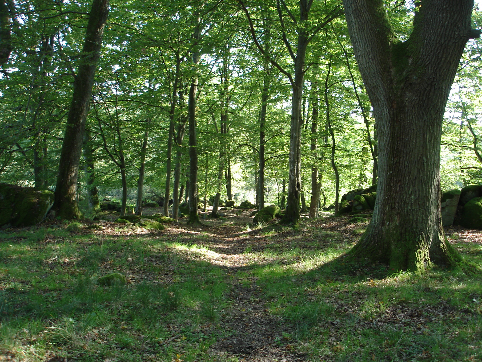 Natura 2000-området med den utslocknade vulkanen Jällabjär hotas inte längre av gruvdrift