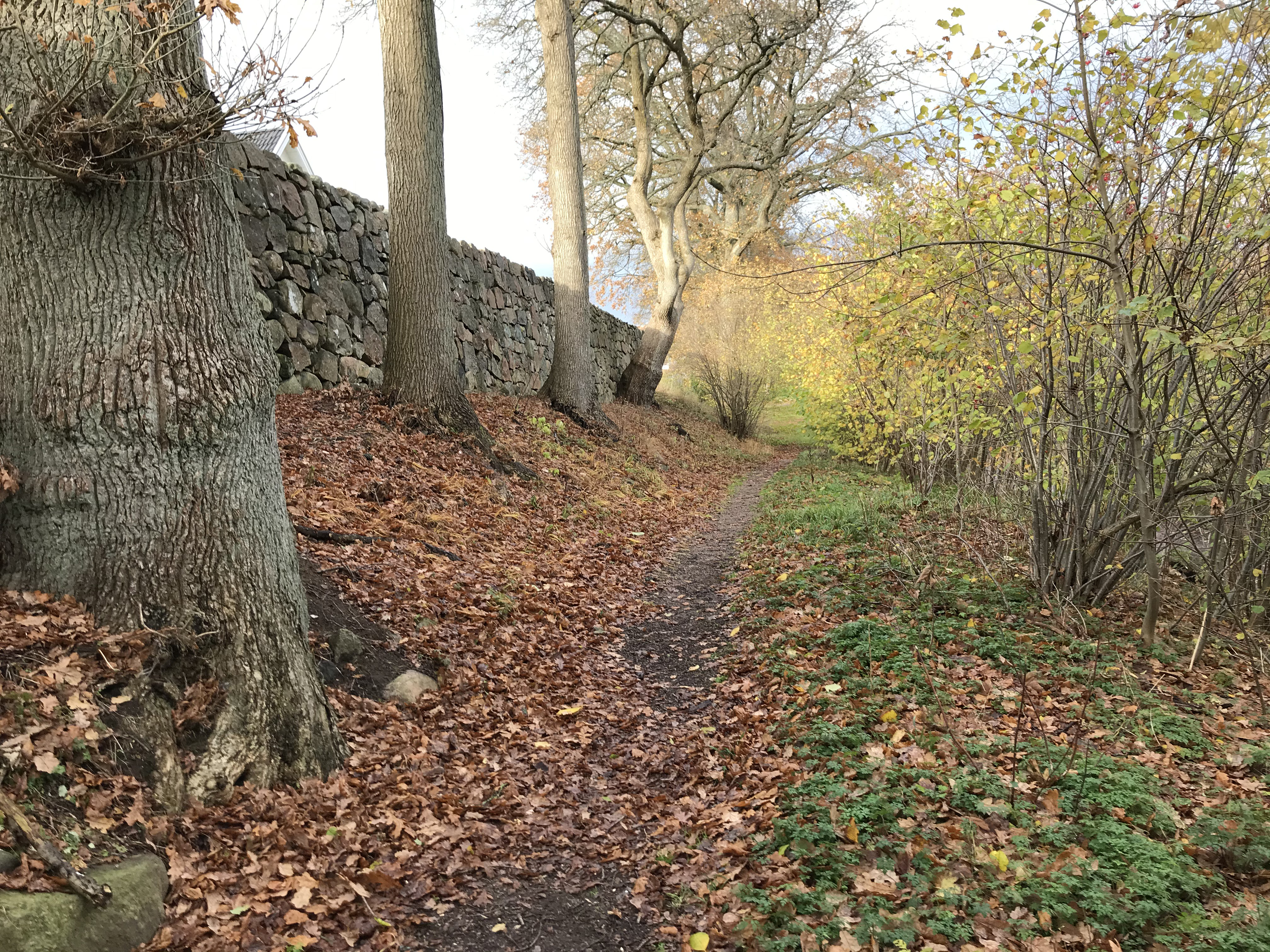 Den gamla skjutvallen i Skytteskogen hägnas in under en period